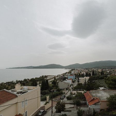 Apartmán Niki House Volos Exteriér fotografie